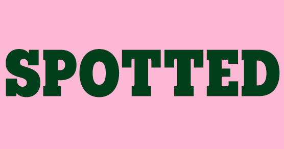 A store shelf featuring storage baskets, an iron and utility products