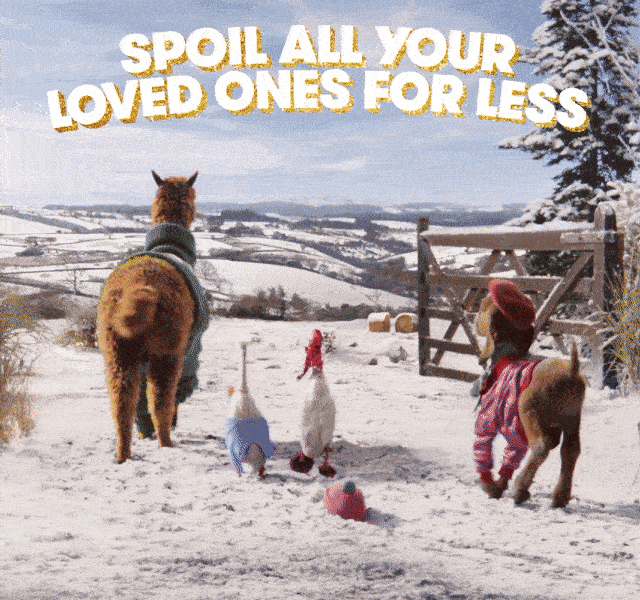 A still of the TK Maxx Christmas TV ad featuring farm animals.