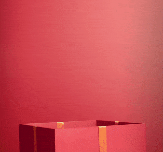 GIF of presents including men's shoes and a kids' doll falling into a red festive gift box.